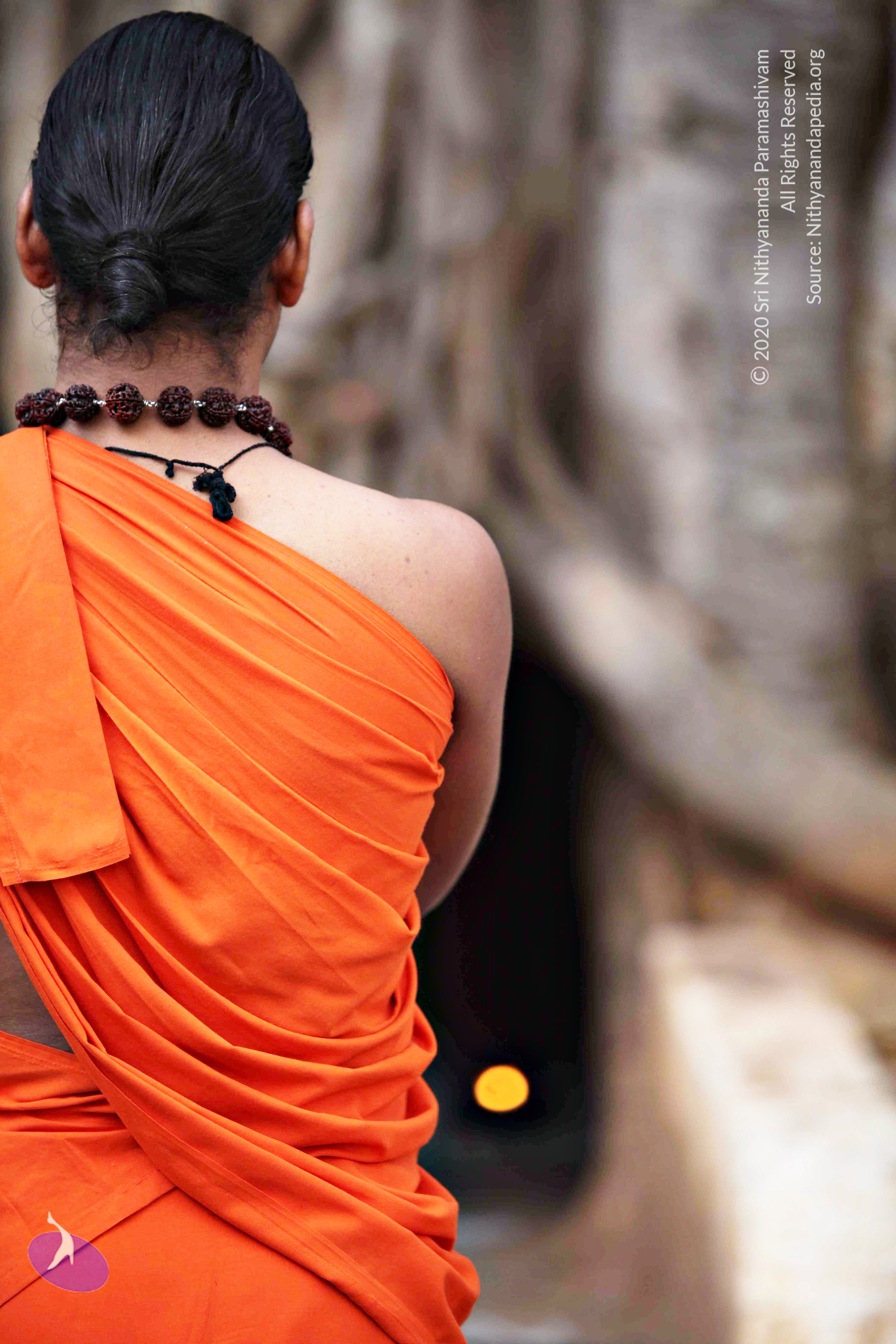 20110225_Photo_1033_IMG_0775_CMP_WM